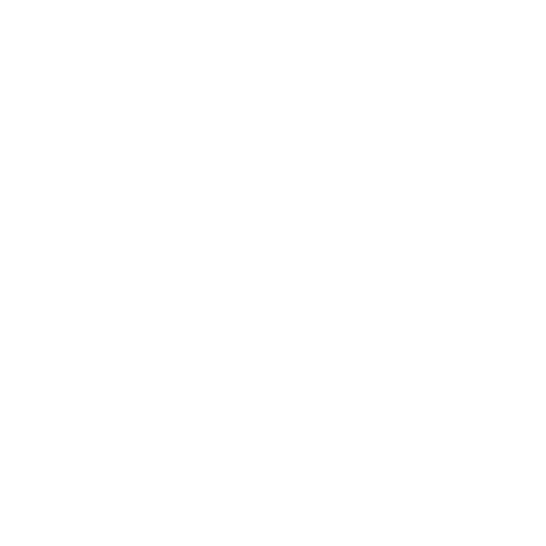 ICT MIM VAI